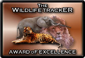 Gold Award for Excellence